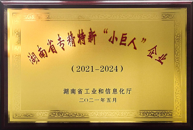 湖南省專精特新“小巨人”企業(yè)